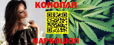 метадон Новодвинск