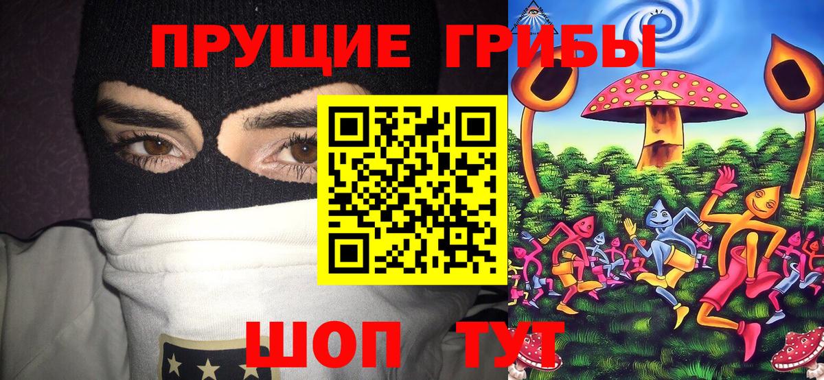 Пугачёв  Псилоцибиновые грибы Psilocybine cubensis  Вход с VPN  закладка  Галлюциногенные грибы Psilocybe 